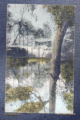 Открытка "Лесной пейзаж" D.&C. Berlin Россия. Нач. ХХ века №6678